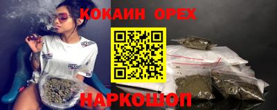 гидра Гатчина