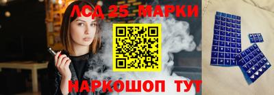 гидра Гатчина