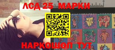 гидра Гатчина