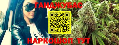 гидра Гатчина